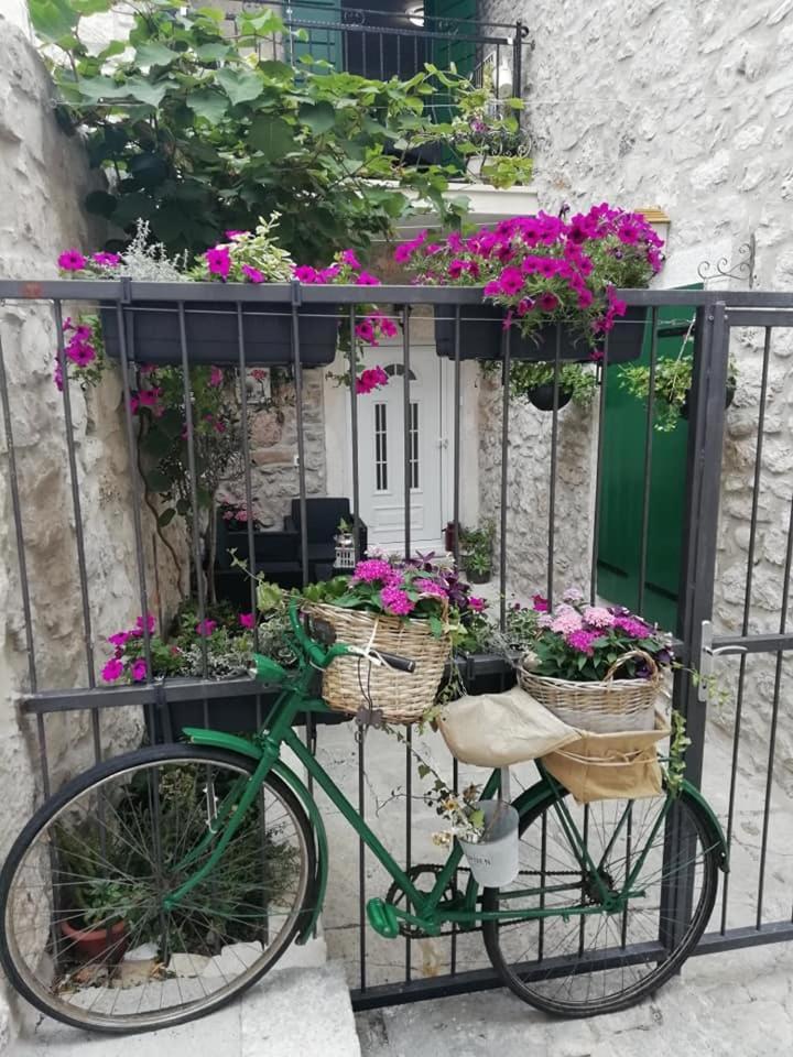 Teta Jadre Apartmán Makarska
