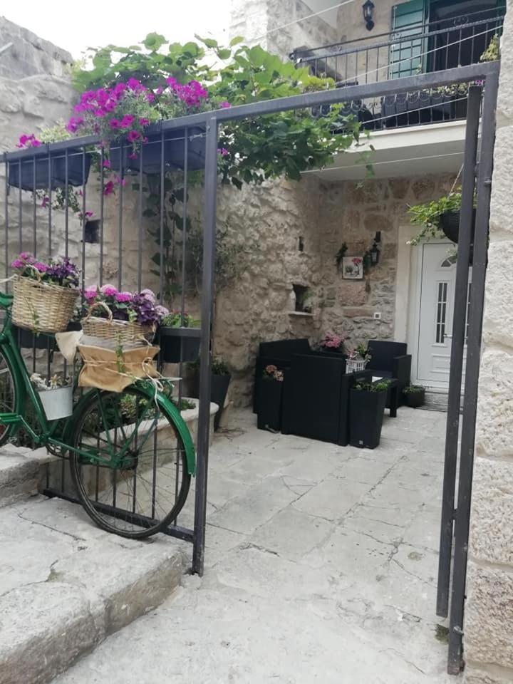 Teta Jadre Makarska